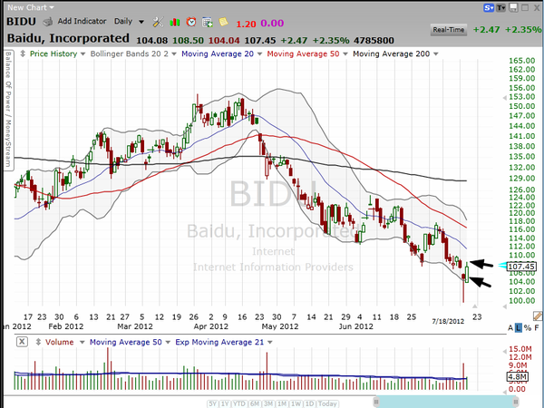 Now on to Day Two on this long tailed cat. (July 18, 2012)