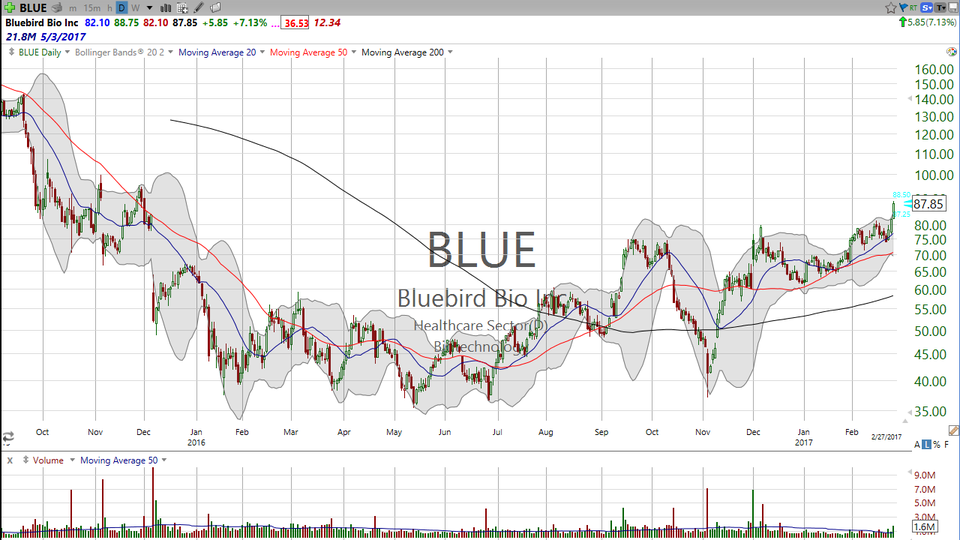 Don't feel blue about biotech.  Here's my analysis of Bluebird (BLUE). (February 27, 2017)