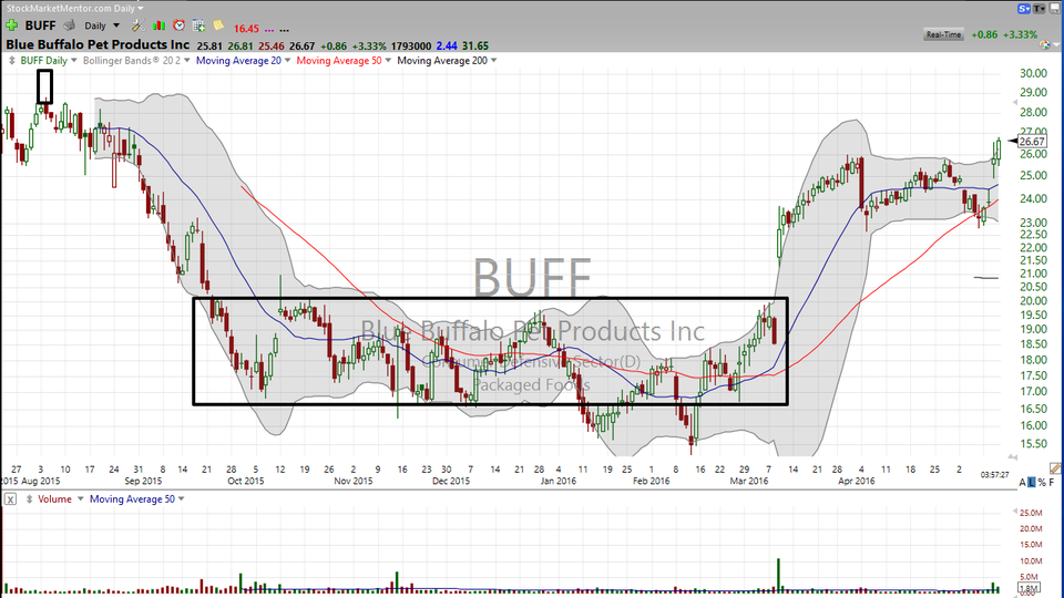I'm bullish on this buffalo.  Here's your trade on Blue Buffalo Pet Foods (BUFF) (May 12, 2016)