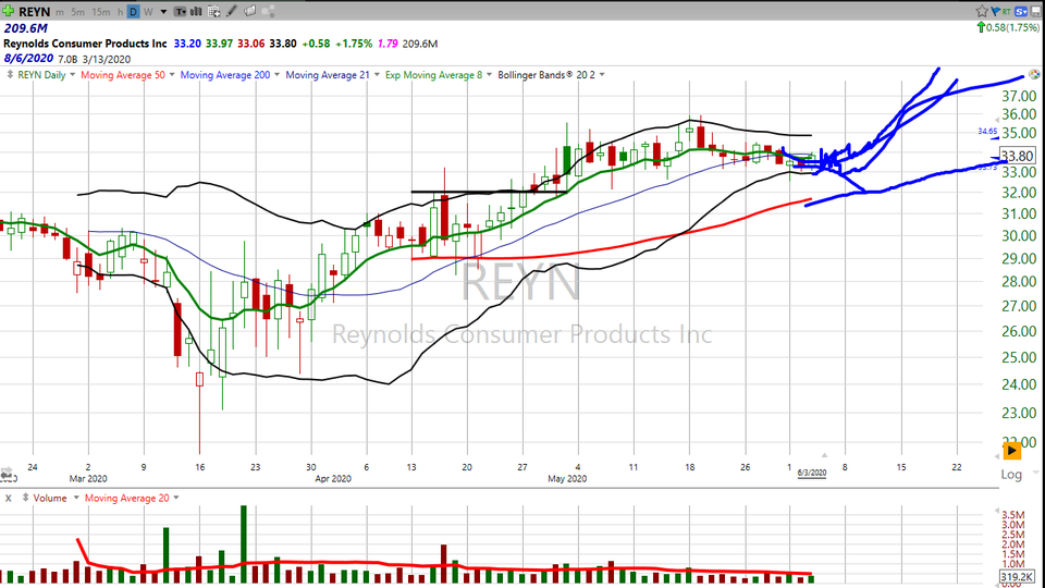 Thinking about buying $REYN?  Here's how. (June 03, 2020)