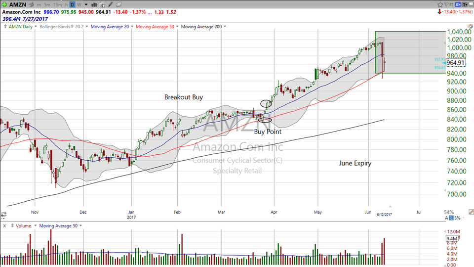 Thinking of buying Amazon (AMZN)?  Here's my take on it. (June 12, 2017)