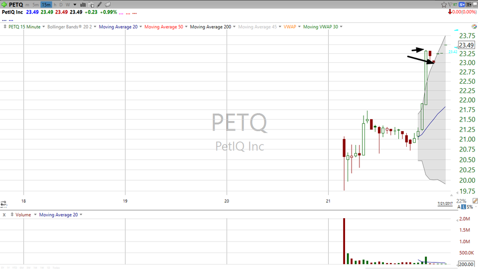Do you like animals?  Then check out PetIQ (PETQ). (July 21, 2017)