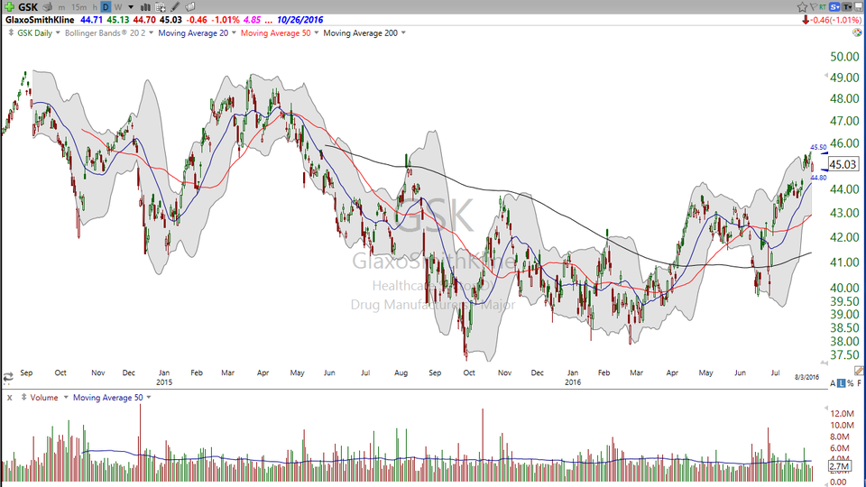 Want to hang onto something for a year? Check out GlaxoSmithKline (GSK). (August 03, 2016)