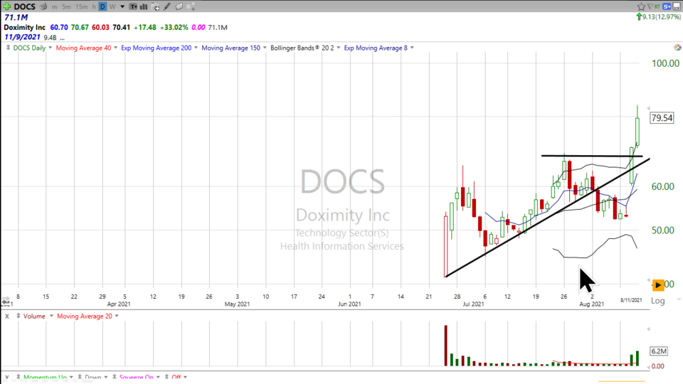 Well I'd say Doximity ($DOCS) worked pretty well. (August 12, 2021)