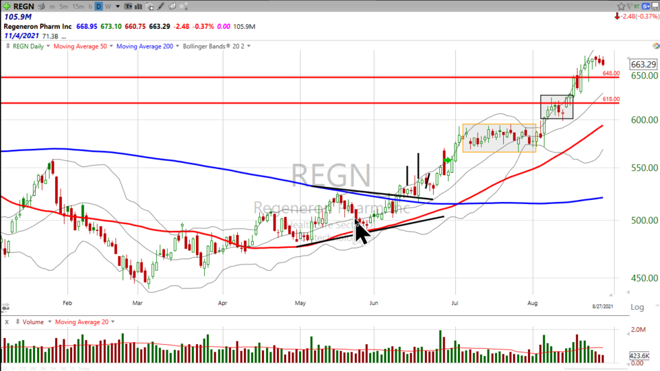 Weekend Update Video - August 27, 2021