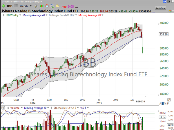 Stock Watch (August 29, 2015)