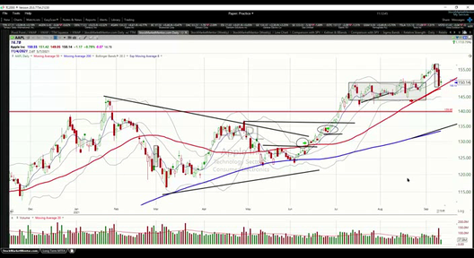 Live Training and Q&A - September 13, 2021